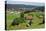 View of Furtwangen, Black Forest, Baden-Wurttemberg, Germany, Europe-Jochen Schlenker-Premier Image Canvas