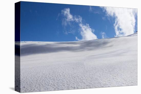 View of glacier, Bonner Glacier, Mount Aspiring National Park, West Coast, South Island, New Zea...-null-Premier Image Canvas