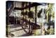 View of Hanging Plants on the Deck of a Floating Home, Sausalito, CA, 1971-Michael Rougier-Premier Image Canvas