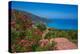 View of houses overlooking coastline, sea and hills near Agkonas, Kefalonia, Ionian Islands-Frank Fell-Premier Image Canvas