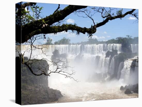 View of Iguassu Falls and Jungle, Argentina-Michele Molinari-Premier Image Canvas