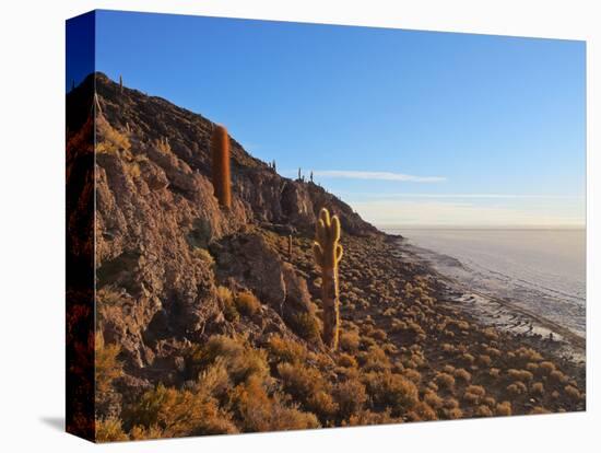 View of Incahuasi Island with its gigantic cacti, Salar de Uyuni, Daniel Campos Province, Potosi De-Karol Kozlowski-Premier Image Canvas