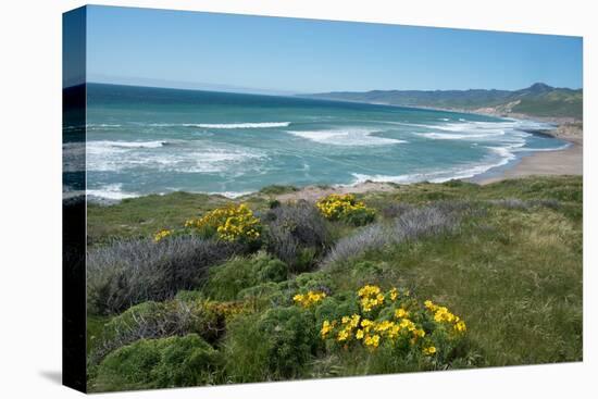 View of Jalama Beach County Park, Near Lompoc, California, United States of America, North America-Ethel Davies-Premier Image Canvas