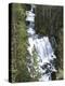 View of Kepler Cascades on Firehole River, Wyoming, USA-Scott T. Smith-Premier Image Canvas