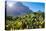 View of Kirstenbosch Botanical Garden, Cape Town, South Africa, Africa-G&M Therin-Weise-Premier Image Canvas