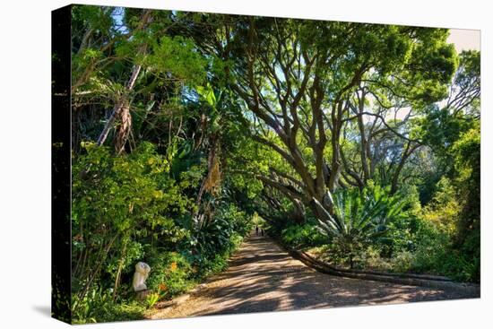 View of Kirstenbosch Botanical Garden, Cape Town, South Africa, Africa-G&M Therin-Weise-Premier Image Canvas