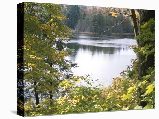 View of Lake Through Tree Branches-null-Premier Image Canvas