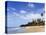 View of Luquillo Beach, Puerto Rico, Caribbean-Dennis Flaherty-Premier Image Canvas