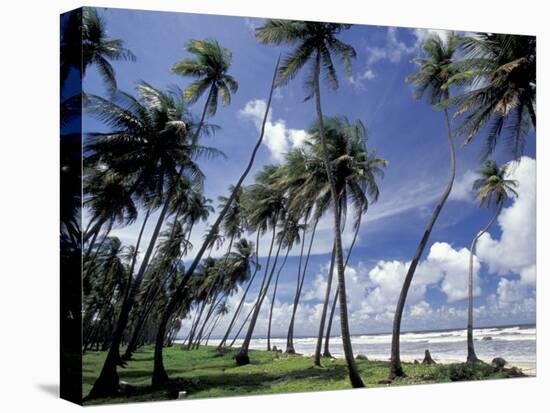 View of Manzanilla Bay, Port of Spain, Trinidad, Caribbean-Greg Johnston-Premier Image Canvas