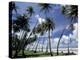 View of Manzanilla Bay, Port of Spain, Trinidad, Caribbean-Greg Johnston-Premier Image Canvas