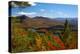 View of McKenzie Pond from Mount Baker, Adirondack Mountains State Park, New York State, USA-null-Premier Image Canvas