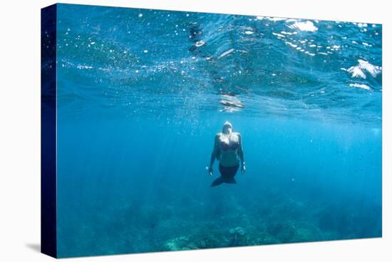 View of Mermaid Swimming in Ocean, Hawaii, USA-null-Premier Image Canvas