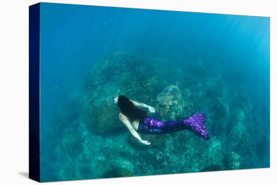 View of Mermaid Swimming in Ocean, Hawaii, USA-null-Premier Image Canvas