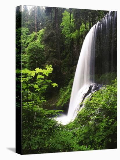 View of Middle North Falls, Silver Falls State Park, Oregon, USA-Adam Jones-Premier Image Canvas