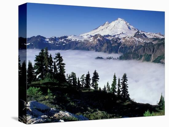 View of Mount Baker from Artist's Point, Snoqualmie National Forest, Washington, USA-William Sutton-Premier Image Canvas