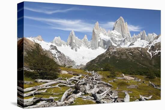 View of Mount Fitz Roy on Laguna de Los Tres trail, El Chalten, Patagonia, Argentina, South America-Stuart Black-Premier Image Canvas