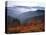 View of Mount Hood with Wild Huckleberry Bushes in Foreground, Columbia River Gorge, Washington-Steve Terrill-Premier Image Canvas