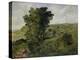 View of Nantlle, Caernarvonshire, 1855-Alfred William Hunt-Premier Image Canvas