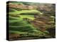 View of Palouse Farm Country Cultivation Patterns, Washington, USA-Dennis Flaherty-Premier Image Canvas
