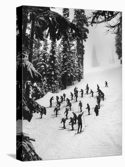 View of People Skiing at Steven's Pass-Ralph Crane-Premier Image Canvas