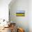 View of Perthshire Mountains and Rape field (Brassica napus) in foreground, Scotland, United Kingdo-John Guidi-Premier Image Canvas displayed on a wall