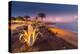 View of Playa Grande at dusk, Puerto Carmen, Lanzarote, Las Palmas-Frank Fell-Premier Image Canvas