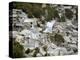 View of Port-Au-Prince, Haiti, after a Magnitude 7 Earthquake Hit the Country-null-Premier Image Canvas