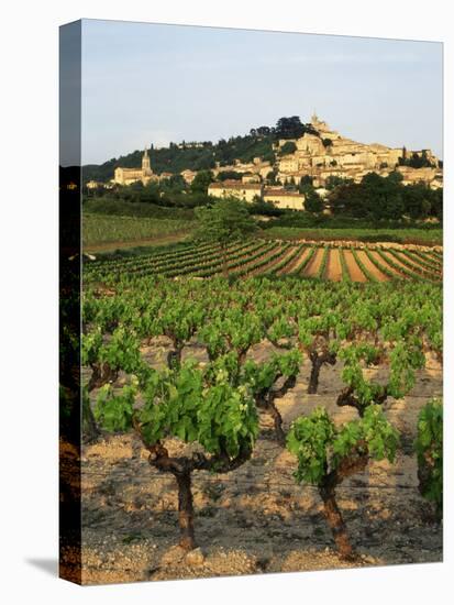 View of Provence Vineyard, Luberon, Bonnieux, Vaucluse, France-David Barnes-Premier Image Canvas