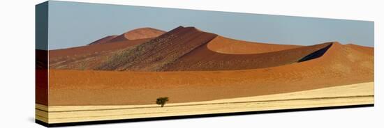 View of Red Dunes, Sossusvlei, Namib Desert, Namib-Naukluft National Park, Namibia-null-Stretched Canvas