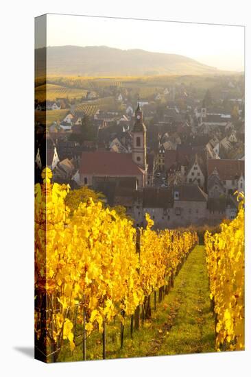 View of Riquewihr and Vineyards in Autumn, Riquewihr, Alsace, France, Europe-Miles Ertman-Premier Image Canvas