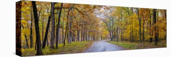 View of road in forest, Stephen A. Forbes State Park, Marion Co., Illinois, USA-Panoramic Images-Premier Image Canvas
