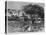 View of Safed, from 'La Syrie D'Aujourd'Hui. Voyages Dans La Phenicie, Le Liban Et La Judee.…-null-Premier Image Canvas