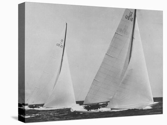View of Sailboats Intrepid and Columbia During the America's Cup Trials-George Silk-Premier Image Canvas