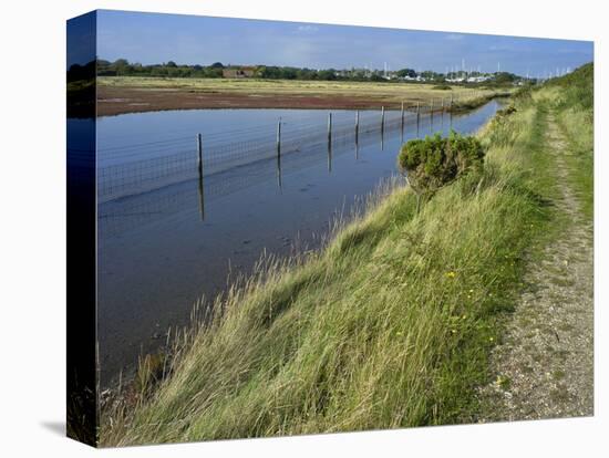 View of Salt Marshes from the Solent Way Footpath, New Forest National Park, Lymington, Hampshire, -David Hughes-Premier Image Canvas