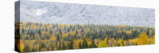 View of snow at autumn, Wells Gray Provincial Park, British Columbia, Canada-Panoramic Images-Premier Image Canvas