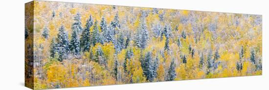 View of snow at autumn, Wells Gray Provincial Park, British Columbia, Canada-Panoramic Images-Premier Image Canvas