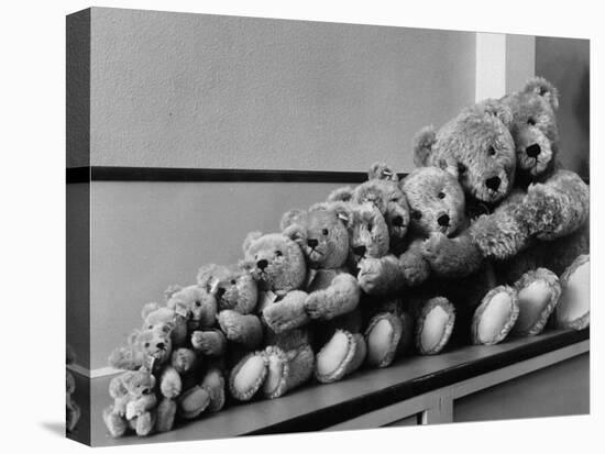 View of Some Teddy Bears-Michael Rougier-Premier Image Canvas