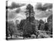 View of St James's Park Lake and Big Ben - London - UK - England - United Kingdom - Europe-Philippe Hugonnard-Premier Image Canvas