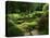 View of Strolling Pond Garden, Portland, Oregon, USA-Adam Jones-Premier Image Canvas