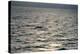 View of Sunlit Waves on Open Water-Kaj Svensson-Premier Image Canvas
