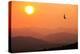 View of sunset over mountains with flying swift, Cumbria, UK-Ashley Cooper-Premier Image Canvas