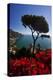 View of the Amalfi Coast from Villa Rufolo in Ravello, Italy-Terry Eggers-Premier Image Canvas