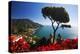 View of the Amalfi Coast from Villa Rufolo in Ravello, Italy-Terry Eggers-Premier Image Canvas