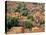 View of the Dogon Village of Songo, Mali-Janis Miglavs-Premier Image Canvas