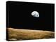 View of the Earth Rising-null-Premier Image Canvas