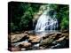 View of the Helton Creek Falls, Chattahoochee-Oconee National Forest, Georgia, USA-null-Premier Image Canvas