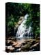 View of the Helton Creek Falls, Chattahoochee-Oconee National Forest, Georgia, USA-null-Premier Image Canvas