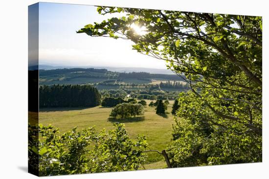 View of the Hoherodskopf, Vogelsberg, Hessen, Germany-Ernst Wrba-Premier Image Canvas