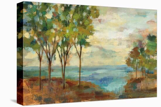 View of the Lake-Silvia Vassileva-Stretched Canvas