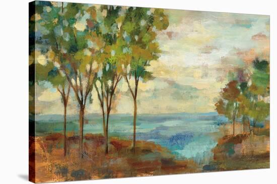 View of the Lake-Silvia Vassileva-Stretched Canvas